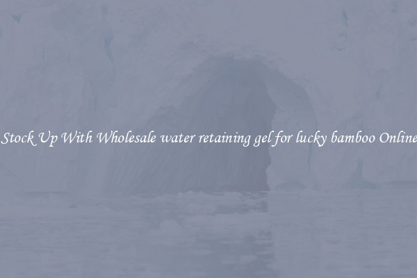 Stock Up With Wholesale water retaining gel for lucky bamboo Online
