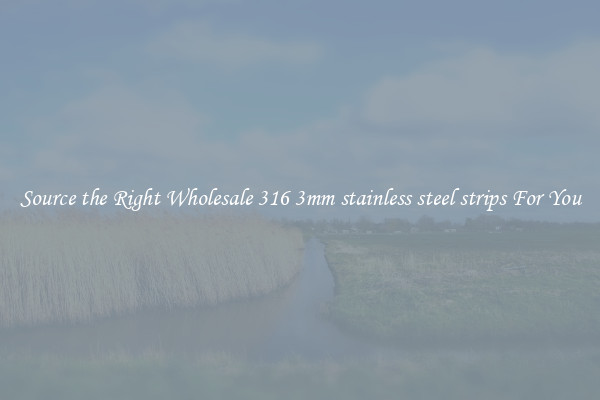 Source the Right Wholesale 316 3mm stainless steel strips For You