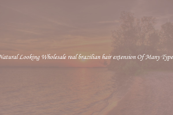 Natural Looking Wholesale real brazilian hair extension Of Many Types