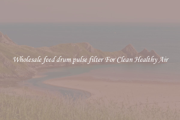 Wholesale feed drum pulse filter For Clean Healthy Air