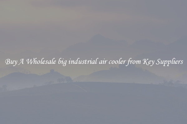 Buy A Wholesale big industrial air cooler from Key Suppliers