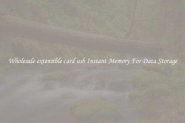 Wholesale extensible card usb Instant Memory For Data Storage