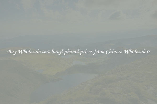 Buy Wholesale tert butyl phenol prices from Chinese Wholesalers