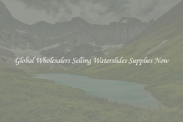 Global Wholesalers Selling Waterslides Supplies Now