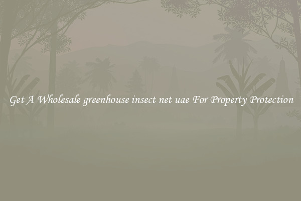 Get A Wholesale greenhouse insect net uae For Property Protection
