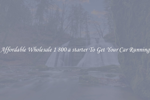 Affordable Wholesale 1 800 a starter To Get Your Car Running