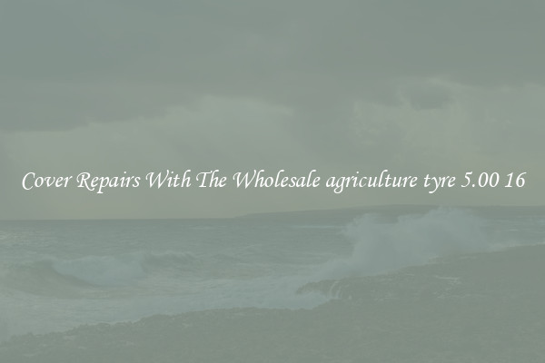  Cover Repairs With The Wholesale agriculture tyre 5.00 16 