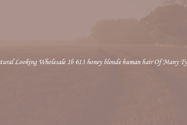 Natural Looking Wholesale 1b 613 honey blonde human hair Of Many Types
