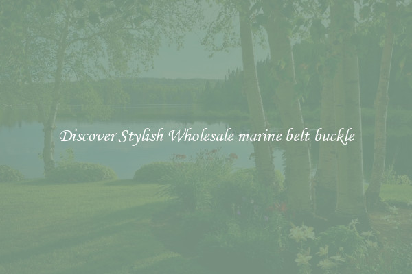 Discover Stylish Wholesale marine belt buckle