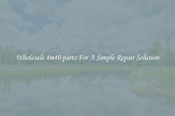 Wholesale 4m40 parts For A Simple Repair Solution