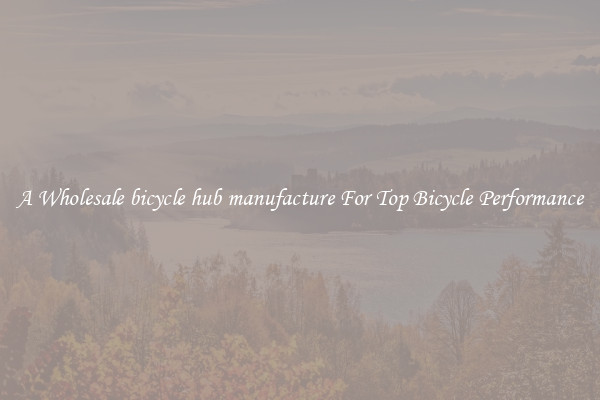 A Wholesale bicycle hub manufacture For Top Bicycle Performance