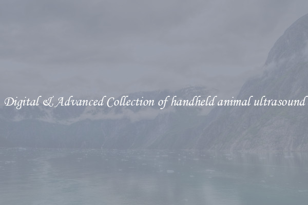 Digital & Advanced Collection of handheld animal ultrasound