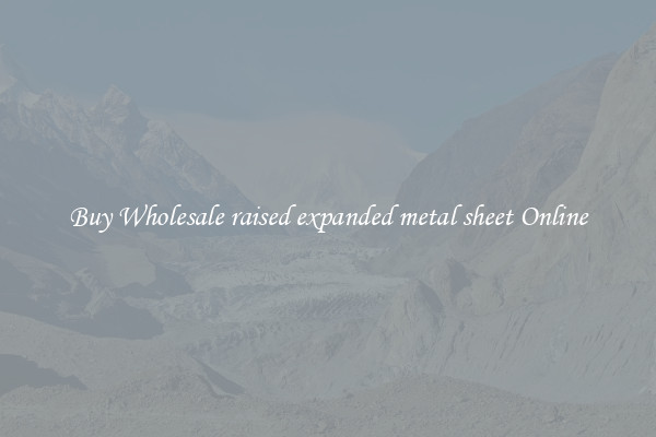 Buy Wholesale raised expanded metal sheet Online