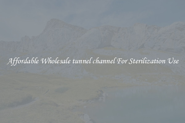 Affordable Wholesale tunnel channel For Sterilization Use