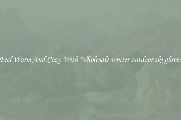 Feel Warm And Cozy With Wholesale winter outdoor ski gloves