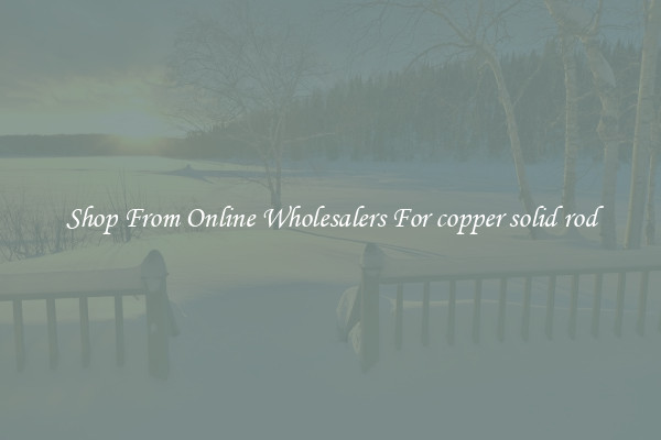 Shop From Online Wholesalers For copper solid rod