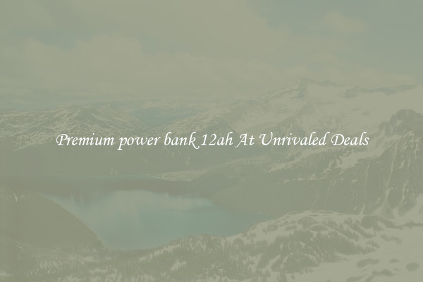 Premium power bank 12ah At Unrivaled Deals