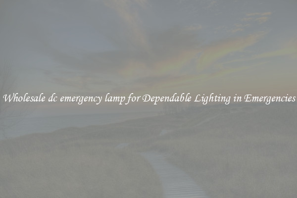 Wholesale dc emergency lamp for Dependable Lighting in Emergencies