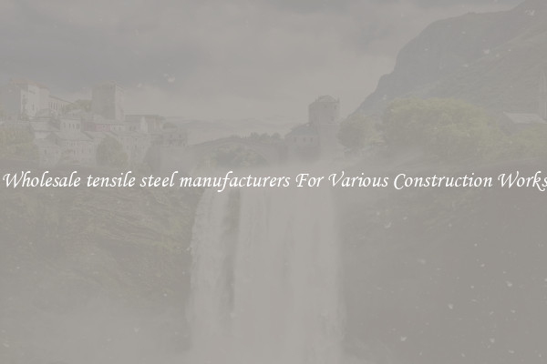 Wholesale tensile steel manufacturers For Various Construction Works
