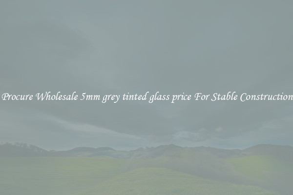 Procure Wholesale 5mm grey tinted glass price For Stable Construction