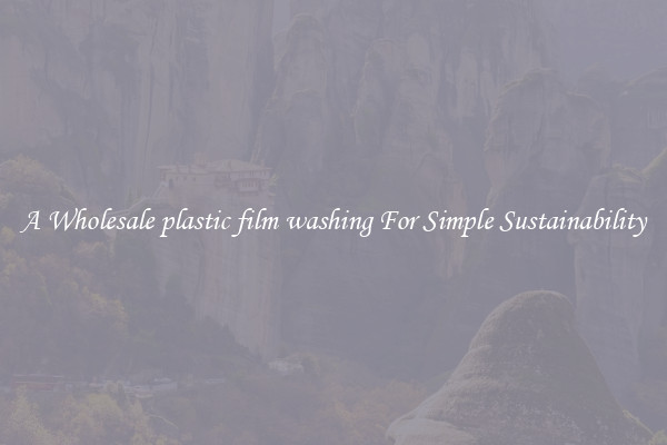  A Wholesale plastic film washing For Simple Sustainability 