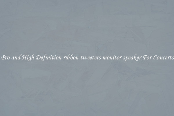 Pro and High Definition ribbon tweeters monitor speaker For Concerts