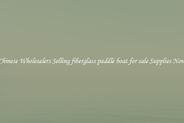 Chinese Wholesalers Selling fiberglass paddle boat for sale Supplies Now